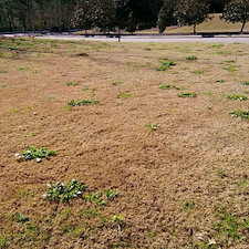 LawnCare 19